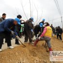 희망나무심기1 이미지