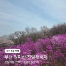 동산 | 부천 진달래축제 봄꽃 명소, 진달래동산 다녀온 후기