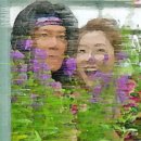 일진농장2 이미지