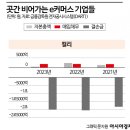 뜬금없이 &#39;해외 도피설&#39; 논란에 휩싸인 마켓컬리 &#39;김슬아&#39; 대표 이미지