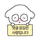 멘지대구