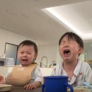 대성전산 - 서초구 방배로 181 | [후기] no경력 no인턴 no대외 9n년생 쌩신입 이력서 400개 난사하고 6개월 취준해서 중소기업 회계팀...