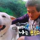 수명민박 이미지