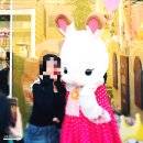 성수 실바니안 패밀리 팝업 이벤트 @ 성수동 라인프렌즈 스퀘어