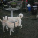 미하가든 이미지