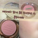 봄웜 찰떡 블러셔🌷peripera 페리페라 맑게 물든 선샤인 치크 19 튤립파티해 후기