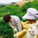 광산구-013 Daum카페