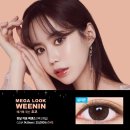 렌즈미 이미지
