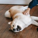 (집)(주)창우환경 네이버블로그