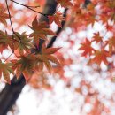 분수광장약국 이미지