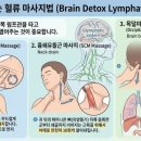 하루 1분, 이 운동으로 뇌가 20년 젊어지고, 최고의 기억력이 유지됩니다 | 60세 이후 필수 루틴 이미지
