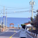 국제종합카서비스 | 우당탕탕 제주도 여행기 1편_새벽 비행기 좌석 자리 추천, 제주속으로 렌터카 할인 및 입장권 할인