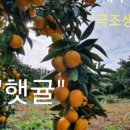 민서농장 이미지