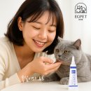 루루펫 | 🐾 몽실언니와 냥냥이 루루의 뽀송뽀송 회복기! 🐱💕이지펫 크림 &amp; 스프레이 후기