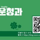 행운청과 - 강서구 강서로12길 5 | 행운청과