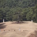 정희사 이미지