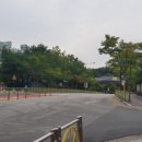 세영정형외과의원 네이버블로그