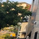 티알트리니티라파엘로청담의원 이미지