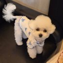 미용하러오개 이미지