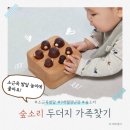 숲소리 두더지 가족찾기 - 소근육 발달에 좋은 9개월 장난감 추천