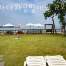 푸른바다와금빛해변2호 이미지