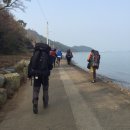 여천경로당 | 20160319~20160320/여수/하화도/아래꽃섬하화도