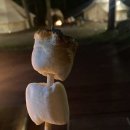 리틀 포레스트 캠핑 이미지