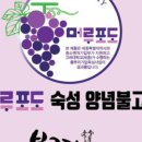 법무법인대세 이미지
