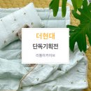 현대리틀아카이브 이미지