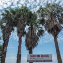 사우쓰캘리 이미지