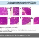 나라바이오주식회사 이미지