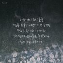 조약돌