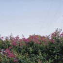 범어근린공원 이미지