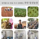 동진농산물 이미지