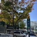 대양클리닉 이미지