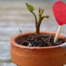 서울더플랜치과의원 이미지