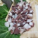 살아있네문어