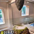 도림슈퍼 이미지