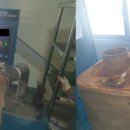 유로커먼레일 이미지