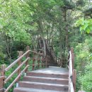 비슬산휴양림관리사무소 이미지