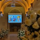 (주)하스 | haas 하스 스냅 | 서울 공덕 아펠가모 라로브홀 아이폰 스냅