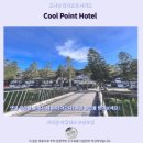 티포인트호텔 | 쿨 포인트 호텔 후기 카메론 하일렌즈 추천 숙소