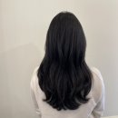 블루브라운 이미지