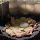 프렌치오토모빌 | [경남 | 산청] 경호강그린캠프 대형 캠핑장 (애견동반가능 &amp; 4월 벚꽃 맛집 &amp; 수선사)