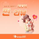 광진동물의료센터 | 광진동물의료센터 찐-리뷰! 보호자분들이 직접 남겨주신 리얼 후기