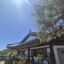 울산 울주 청량대리점 | 울산 한정식 맛집 부모님 모시고 식사 카페 다 해결 청량248