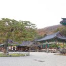 고종시마실길 이미지