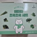 [토핑 이유식] 배마마 이유식 야채 큐브 (중간 다진 1개월 세트) 구입 후기