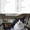 1365. 선잠단지 앞 | 겨울엔 역시 따뜻하게 보호소 봉사! / 광주동물보호센터 봉사 후기 / 1365 봉사신청방법 / 고양이 입양