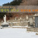 연천군심원사지부도군 이미지